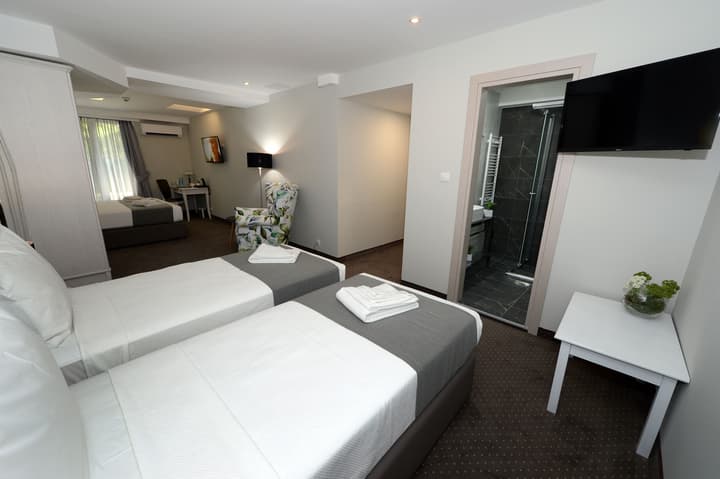 Hotel Alexandar II