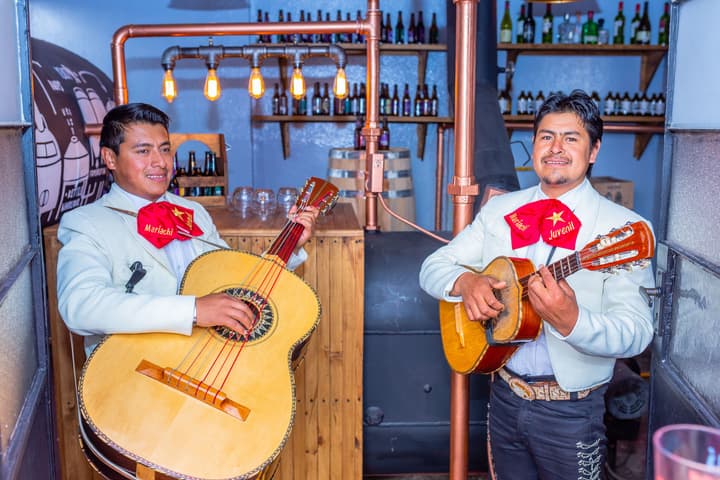 Mala Vecindad Beer Hotel
