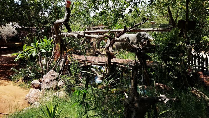 Elephant Trail
