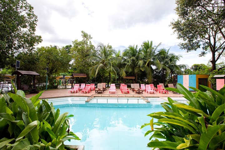 ROYAL PINEAPPLE HOTEL | A Welcome to Wealth and Good Fortune