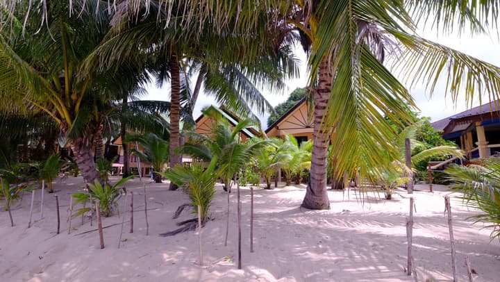 Lolita Bungalow