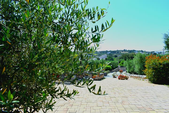 La Rosa dei Trulli B&B