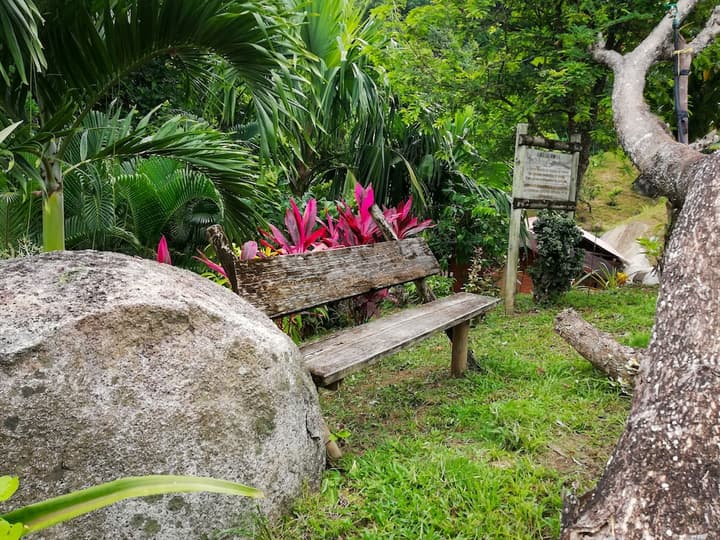 Ecohabs Bosques del Tayrona
