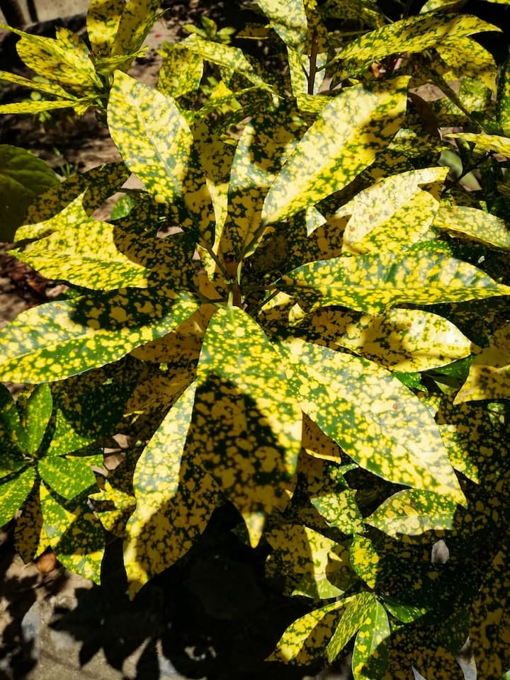 Ecohabs Bosques del Tayrona