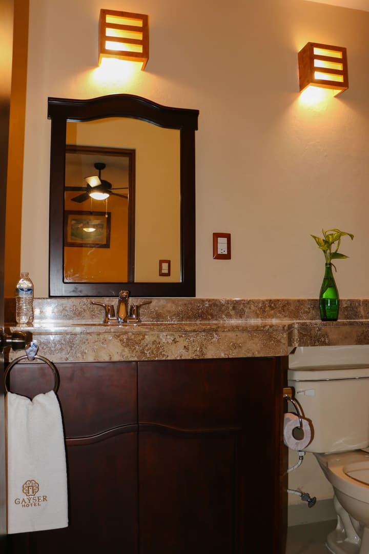 Hotel Gayser
