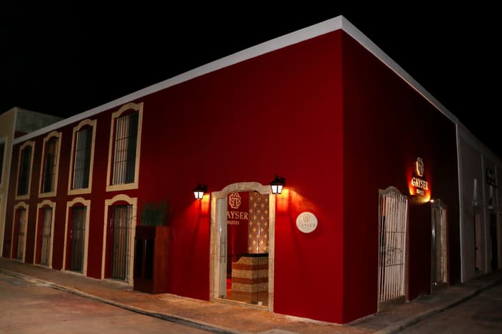 Hotel Gayser