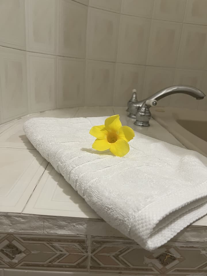 Studio Chateau - Manor Park, Kingston 8