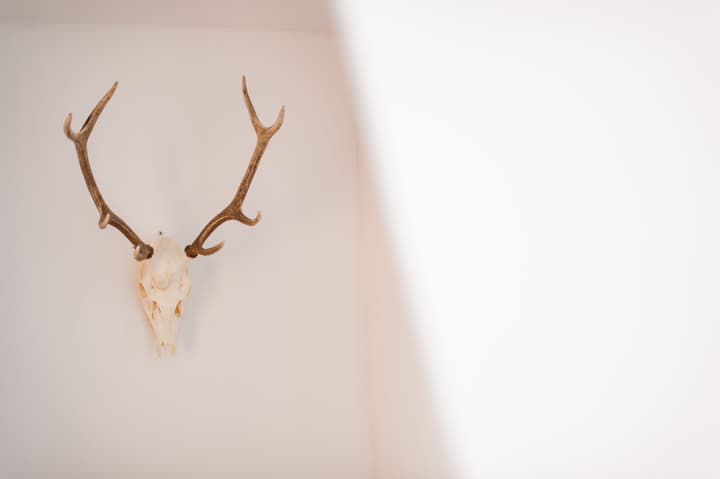 Hotel KRONE - eat, drink, stay