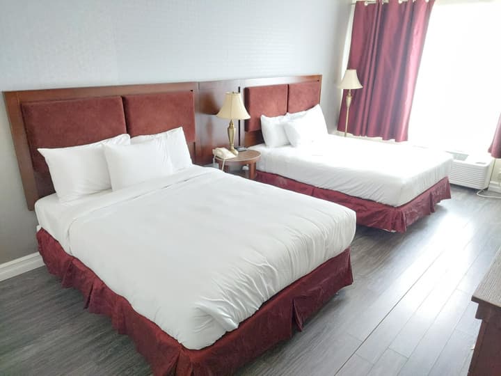Hotel Universel
