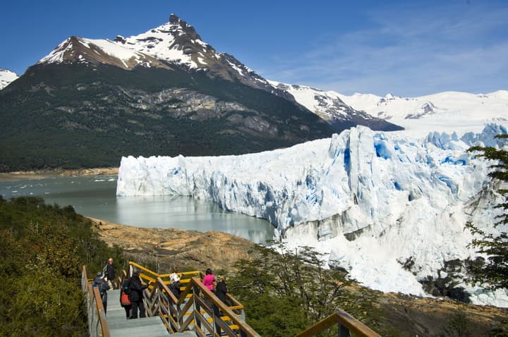 Sent Calafate