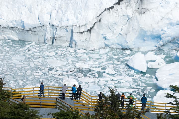 Sent Calafate