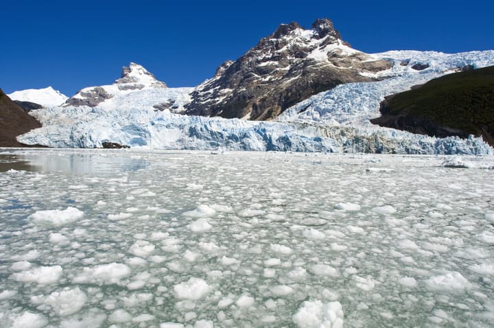 Sent Calafate