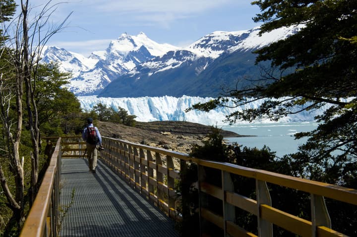 Sent Calafate