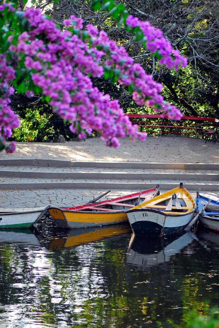 Hotel do Lago