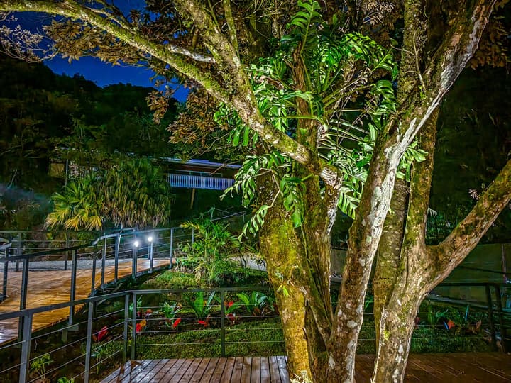 Cloud Forest Lodge