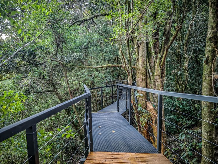 Cloud Forest Lodge