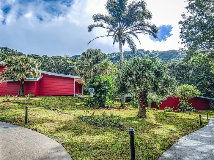 Cloud Forest Lodge