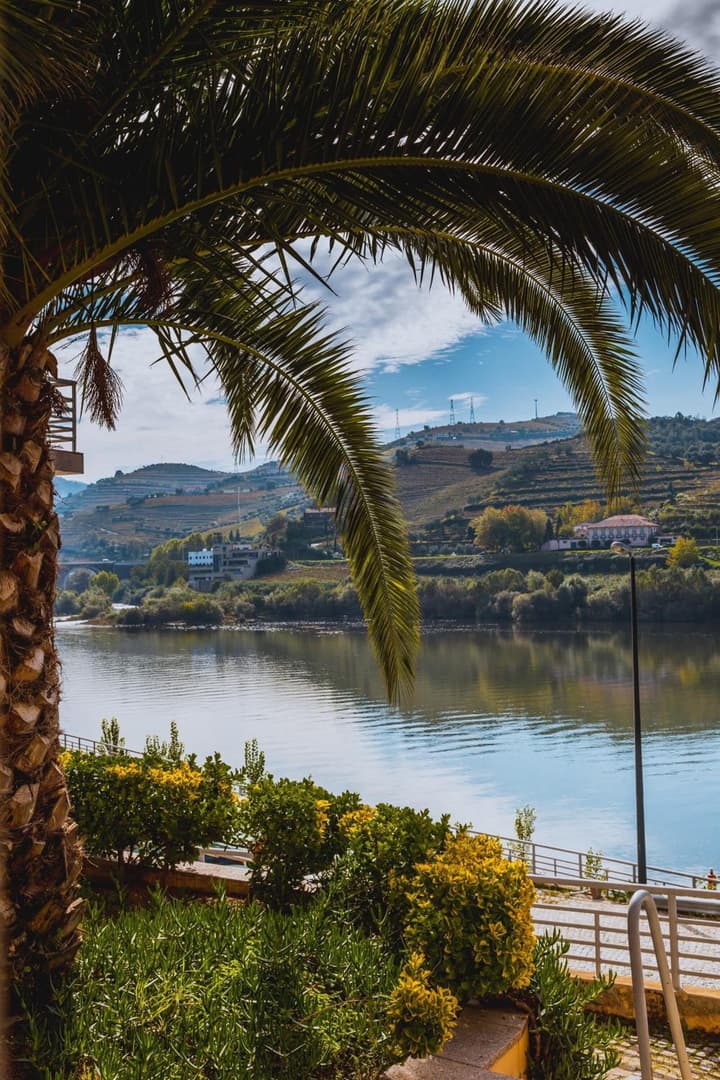 Crisol Régua Douro