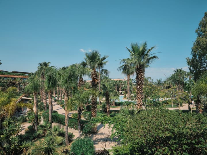 Acacia Resort