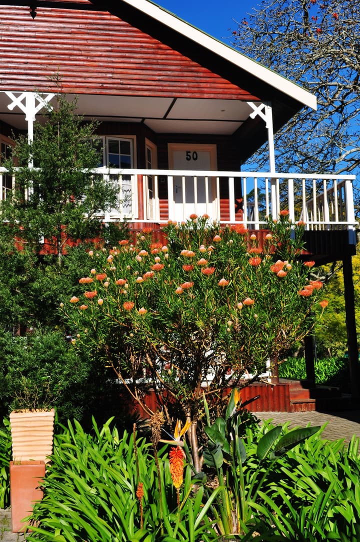 Tsitsikamma Village Inn