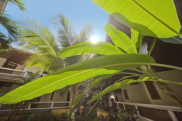 Thai House Beach Resort