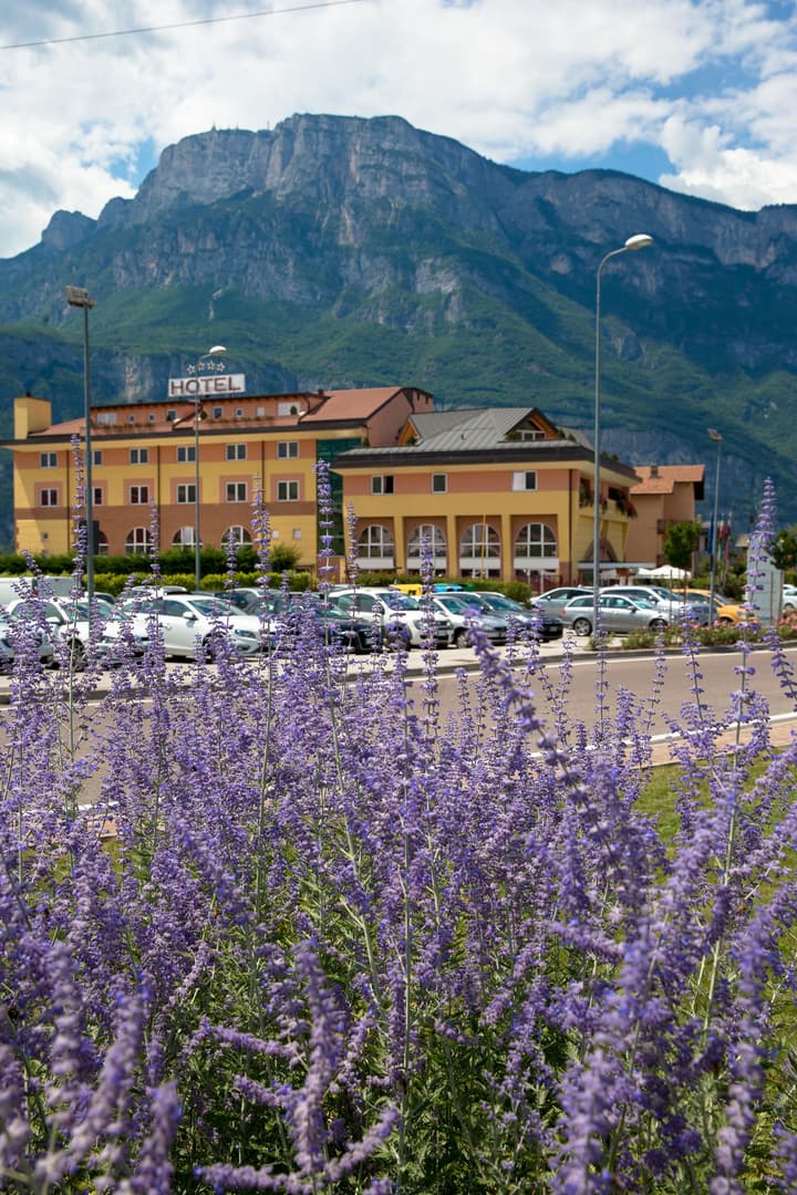 Sartori's Hotel