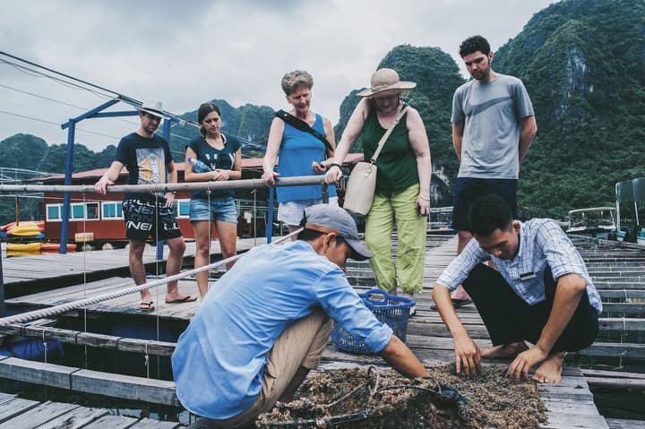 Bhaya Halong Cruises
