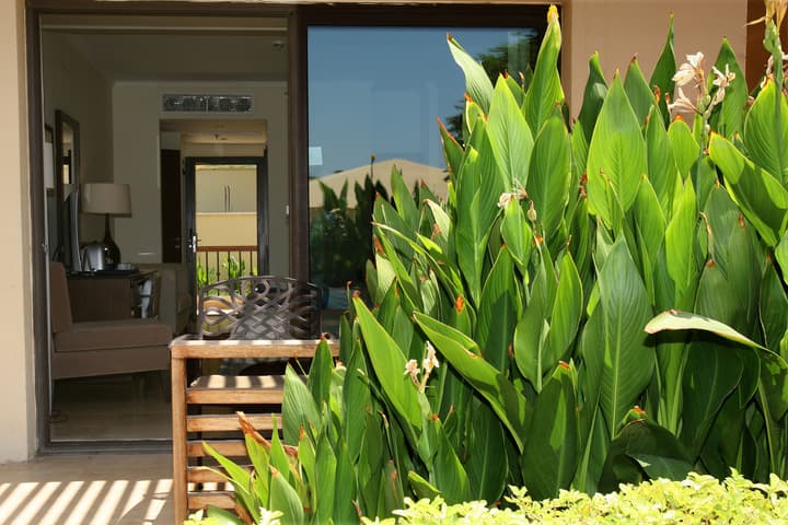 Grand Tala Bay Resort, Aqaba