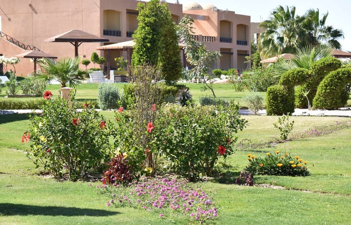 Wadi Lahmy Azur Resort