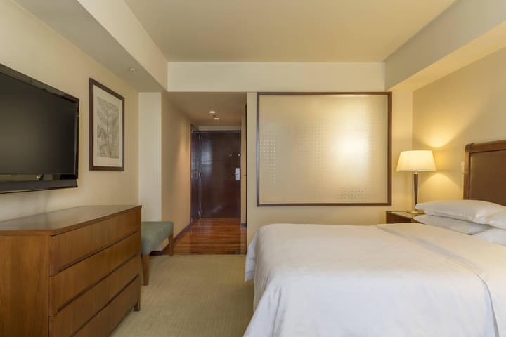 Sheraton Mendoza Hotel