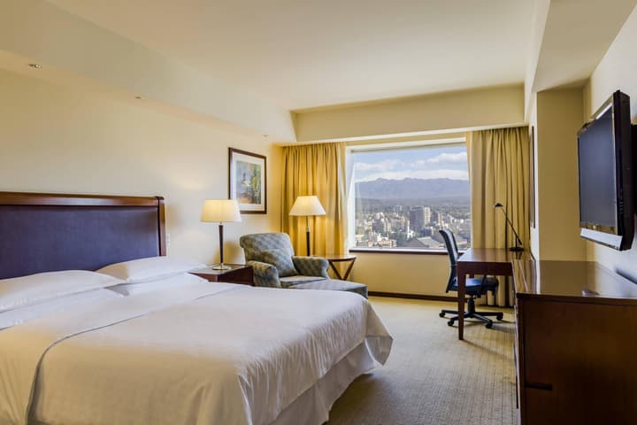 Sheraton Mendoza Hotel