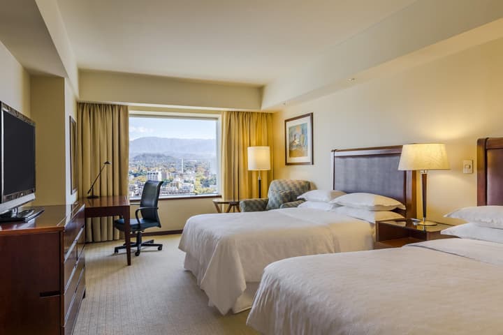 Sheraton Mendoza Hotel