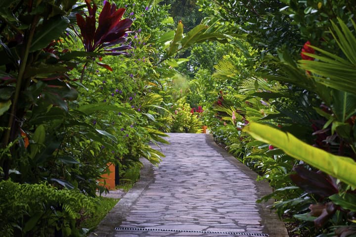 Nayara Gardens