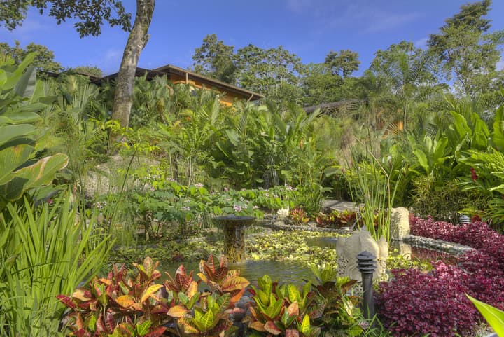 Nayara Gardens