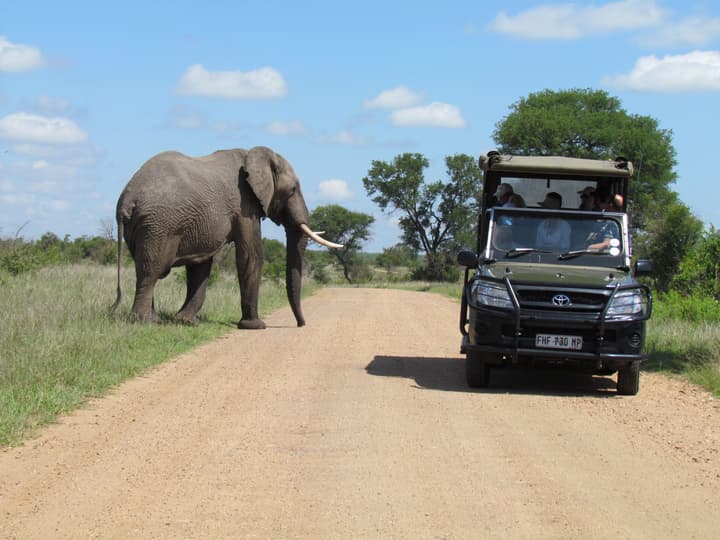 Nkambeni Safari Camp