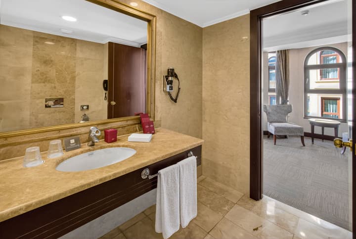 Crowne Plaza Istanbul - Old City by IHG