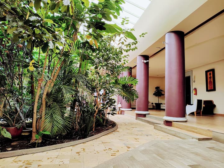 Hotel Jardines del Centro
