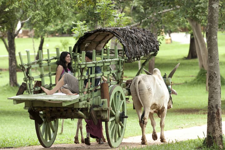 Amaya Lake Dambulla
