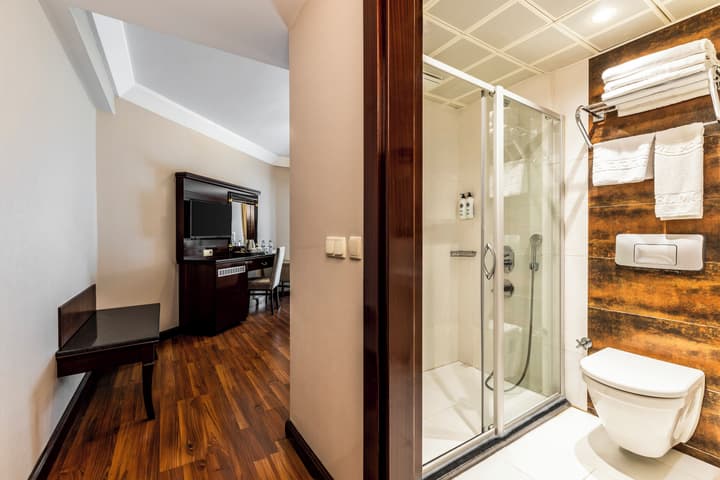 Hotel Mosaic