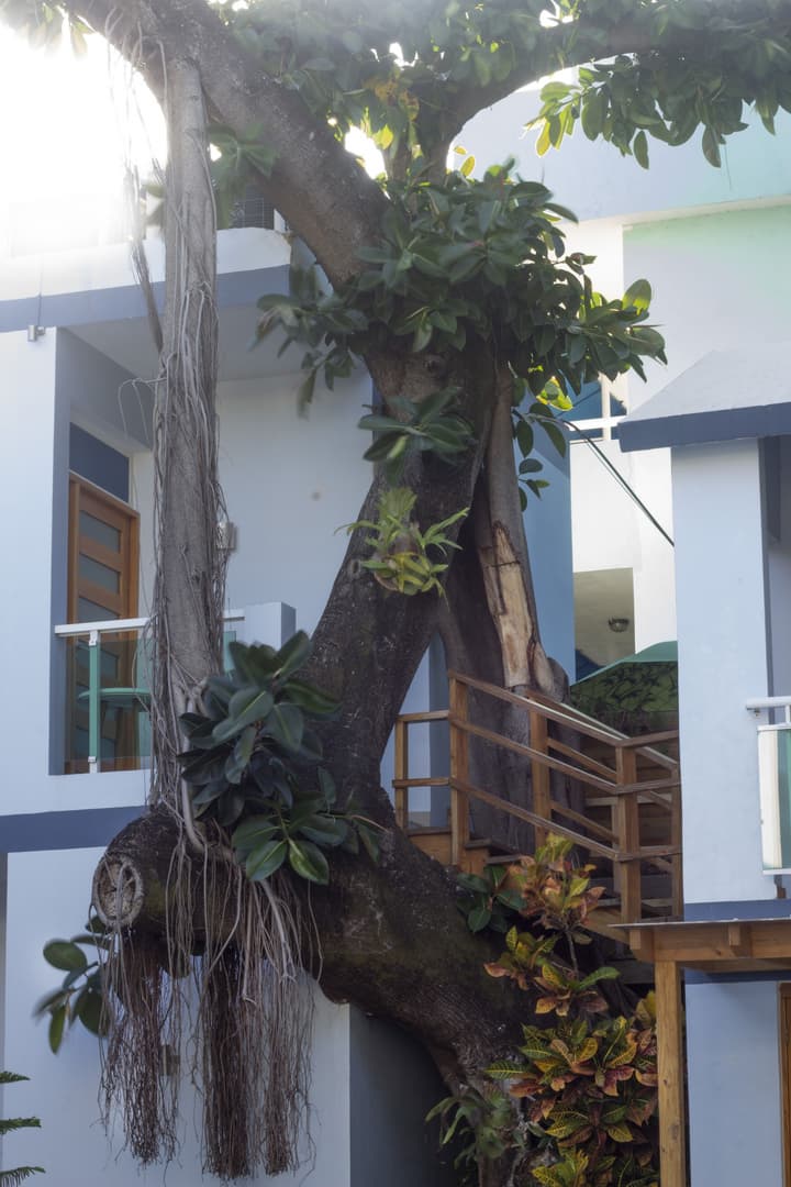 Casa Valeria Boutique Hotel