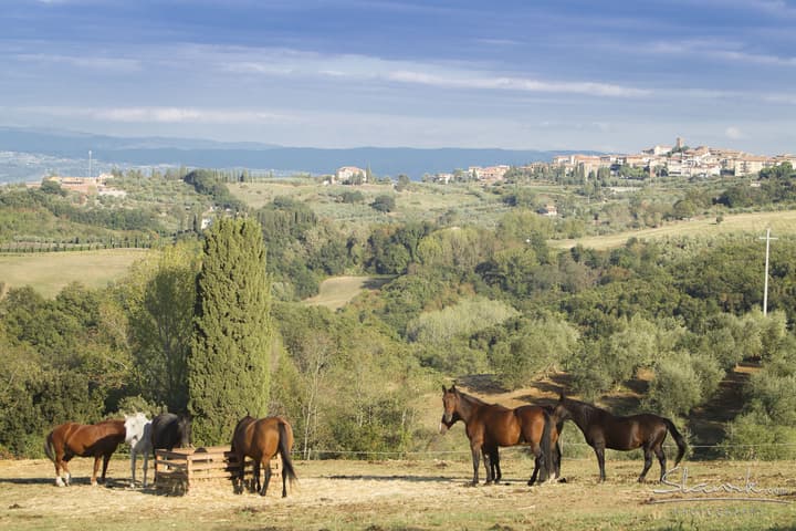 Tenuta Castellare di Tonda