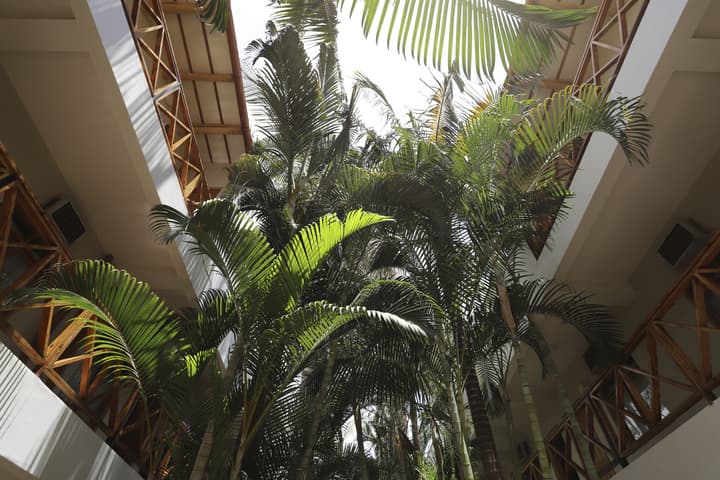 Casa Andina Standard Nasca