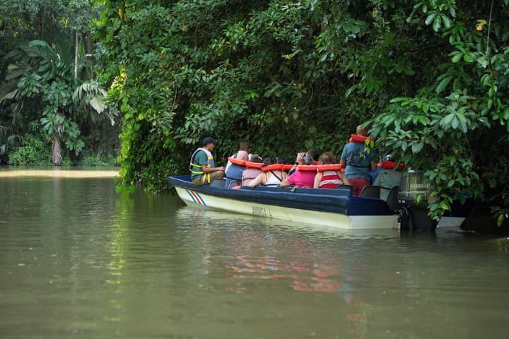 Pachira Lodge