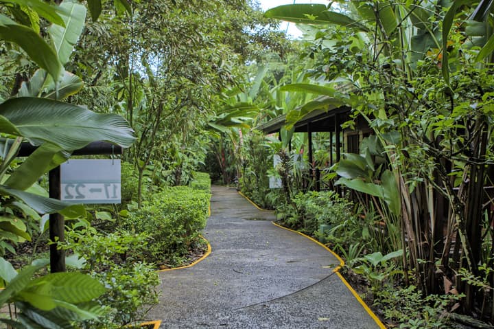 Pachira Lodge