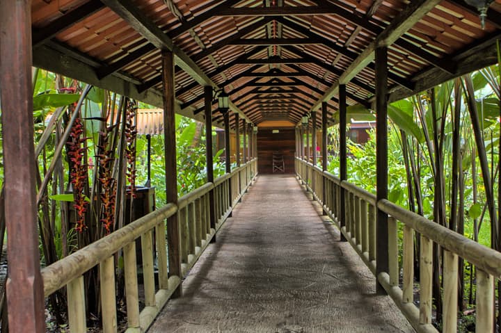 Pachira Lodge