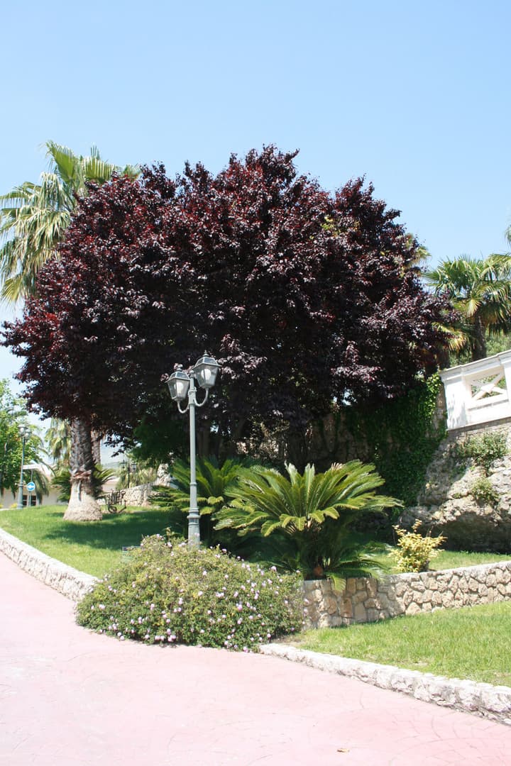 Villa Irlanda Grand Hotel