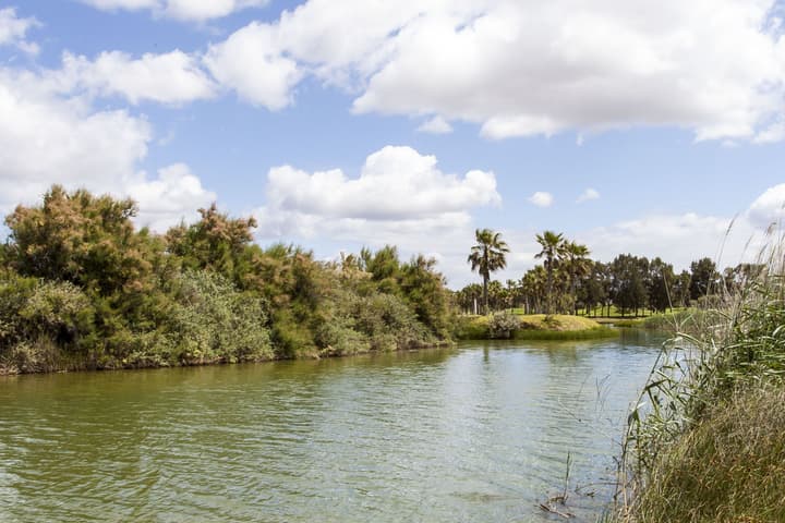 BaySide Salgados