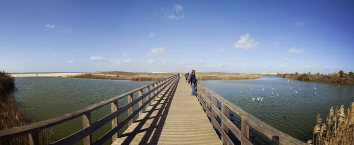 BaySide Salgados