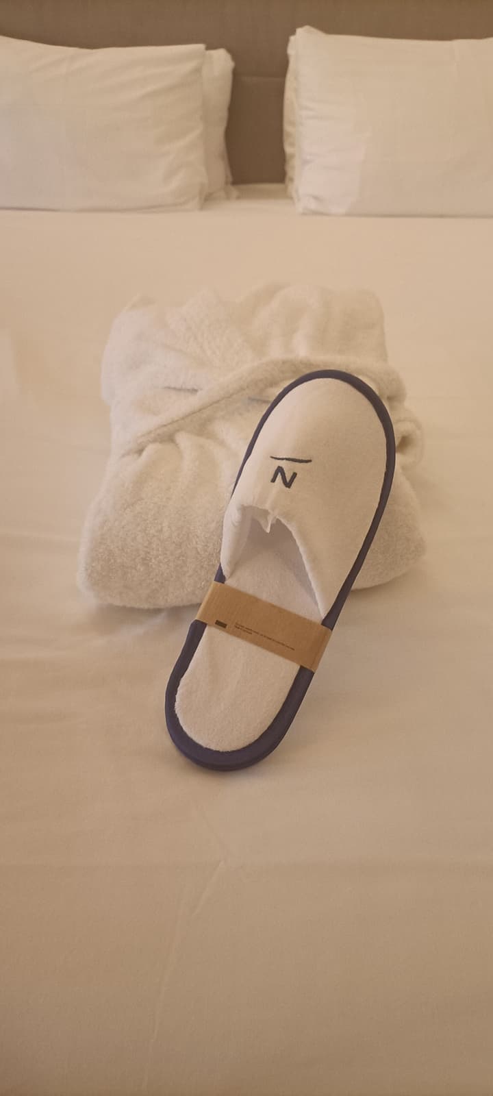 Novotel Suites Reims Centre