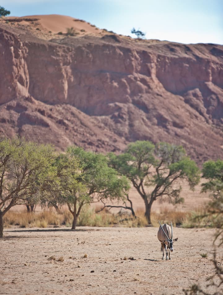 Namib Desert Lodge